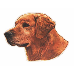 Naklejka Dwustronna Normal