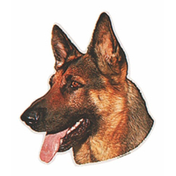 Naklejka Dwustronna Normal