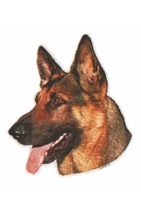 Naklejka Dwustronna Normal