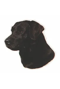 Naklejka Dwustronna Normal