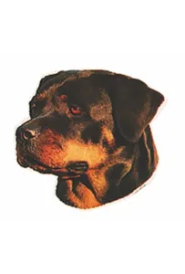 Naklejka Dwustronna Normal