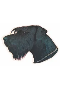 Naklejka Dwustronna Normal