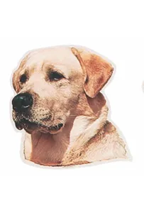 Naklejka Dwustronna Normal