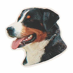 Naklejka Dwustronna Normal