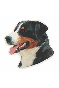 Naklejka Dwustronna Normal