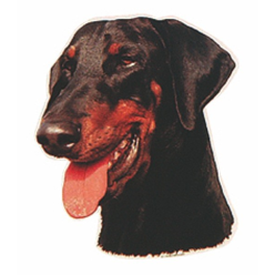 Naklejka Dwustronna Normal