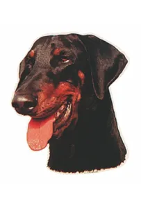 Naklejka Dwustronna Normal