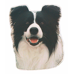 Naklejka Dwustronna Normal