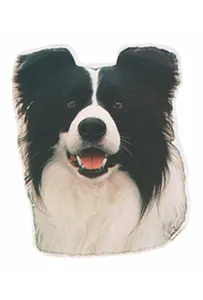 Naklejka Dwustronna Normal