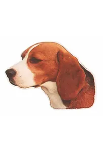 Naklejka Dwustronna Normal