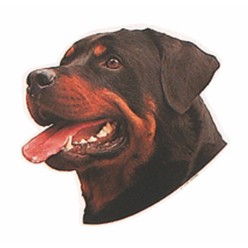 Naklejka Dwustronna Normal