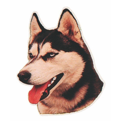 Naklejka Dwustronna Normal