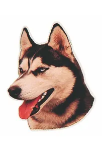 Naklejka Dwustronna Normal