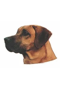 Naklejka Dwustronna Normal