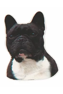 Naklejka Dwustronna Normal