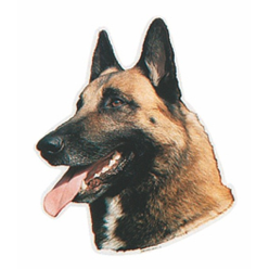 Naklejka Dwustronna Normal