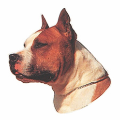 Naklejka Dwustronna Normal