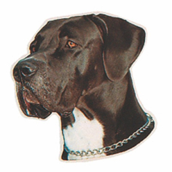 Naklejka Dwustronna Normal