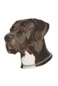 Naklejka Dwustronna Normal