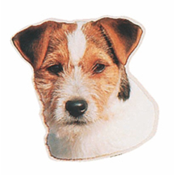 Naklejka Dwustronna Normal