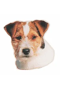 Naklejka Dwustronna Normal