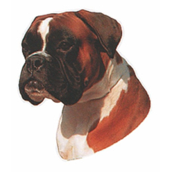 Naklejka Dwustronna Normal