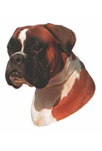 Naklejka Dwustronna Normal