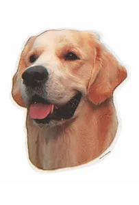 Naklejka Dwustronna Normal