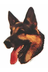 Naklejka Dwustronna Normal