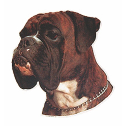 Naklejka Dwustronna Normal