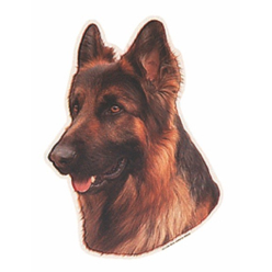 Naklejka Dwustronna Normal