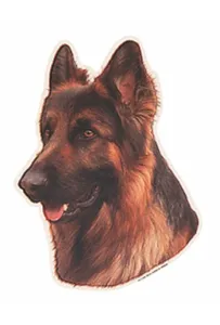 Naklejka Dwustronna Normal