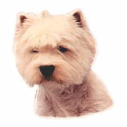 Naklejka Dwustronna Normal