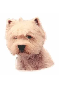 Naklejka Dwustronna Normal