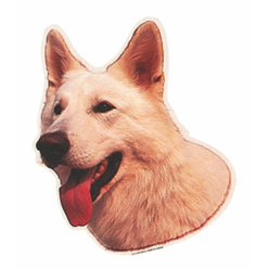 Naklejka Dwustronna Normal