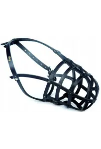 Tr-211-5 Kaganiec Skórzany Wilk Mały