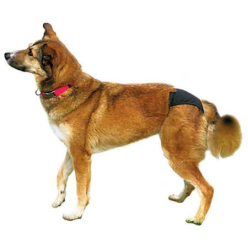 Tx-23491 Majtki Na Cieczkę Rozmiar S       24-31Cm