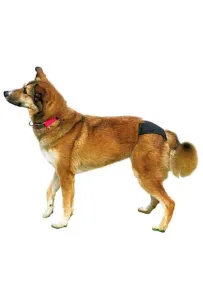 Tx-23494 Majtki Na Cieczkę Rozmiar L       50-59Cm