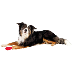 Tx-19450 Bandaż Samoprzylepny 5Cm/4,5M   4Szt    /4