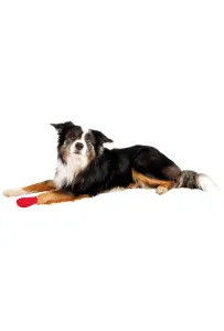 Tx-19450 Bandaż Samoprzylepny 5Cm/4,5M   4Szt    /4