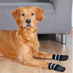 Tx-19524 Skarpetki Antypoślizgowe L-Xl    Czarne 2Szt   /3