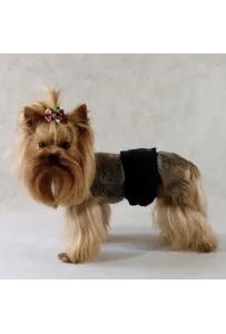 GRANDE-FINALE PAMPAS CZARNY r.5 (58-70cm)