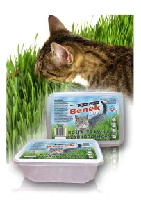 Super Benek Kocia Trawa Duet 150G/28Szt