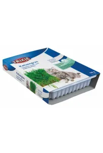 Zestaw do uprawy trawy dla kota Trixie, pokazujący plastikowy pojemnik z rosnącą, soczyście zieloną trawą.