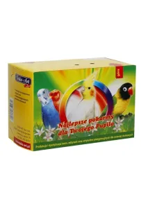 Dako-Art Pudełko Transportowe Małe