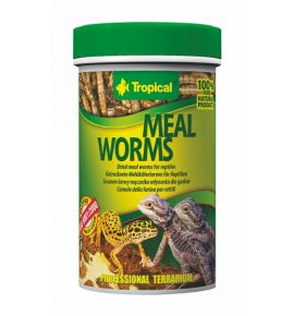 TROPICAL MEAL WORMS PUSZKA...