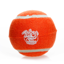 Tennis Ball With Squeaker 2Pak Large