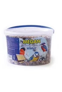 Megan Wiaderko 3L Zima*