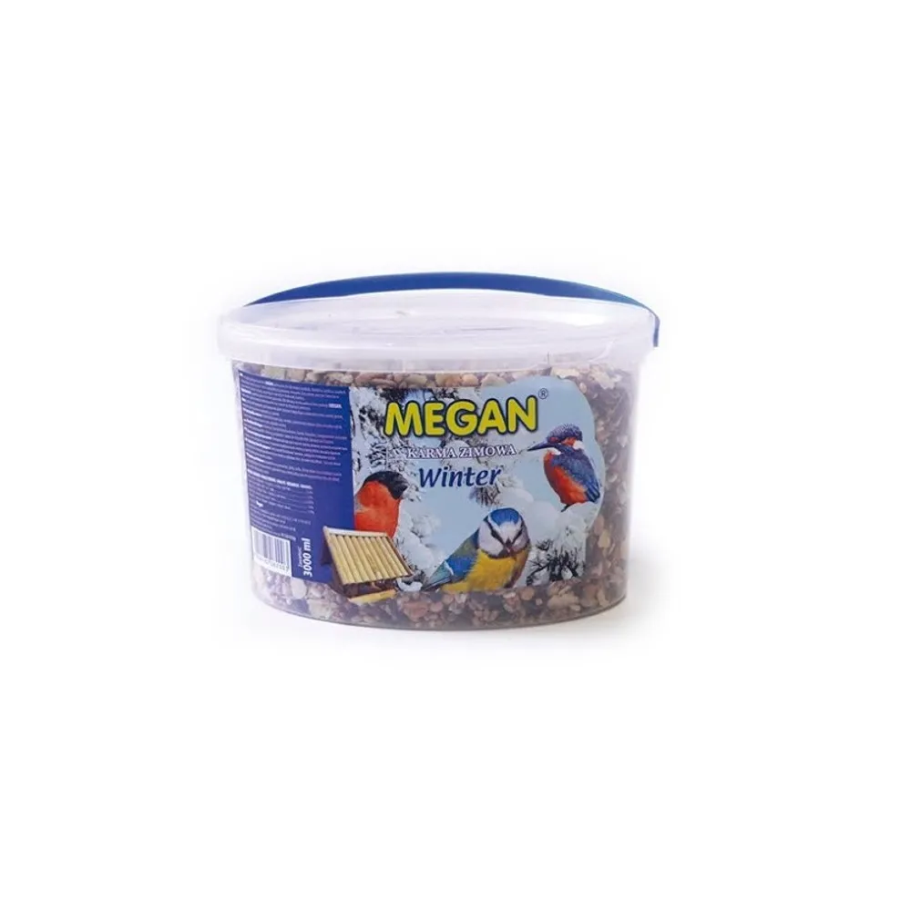 Megan Wiaderko 3L Zima*