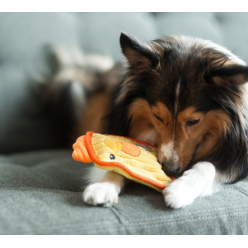 Oh Mini Waleczny Pingwinek 67806